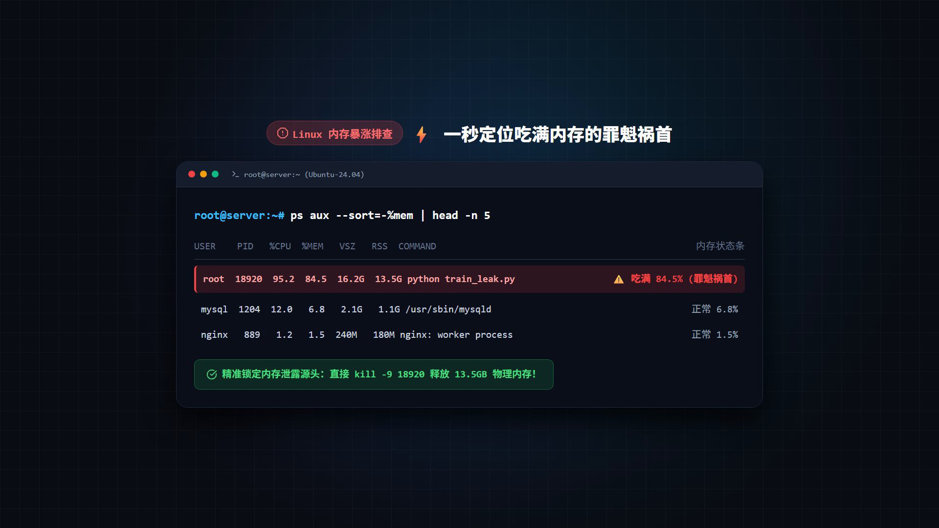 Linux 内存排查视频截图